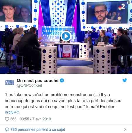 fake-macronie