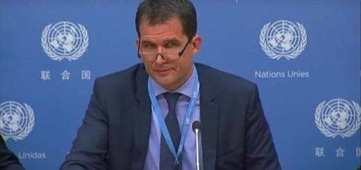rapporteur-onu