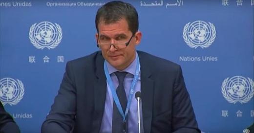 rapporteur-onu