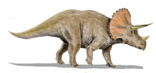 Tricératops