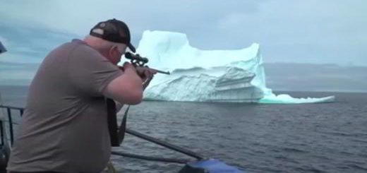 chasseur-iceberg