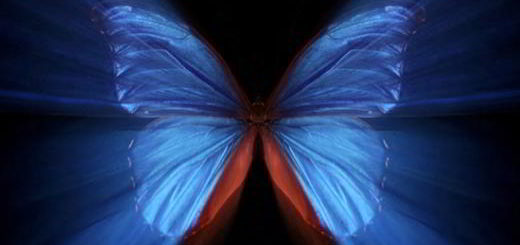 effet-papillon-théorie