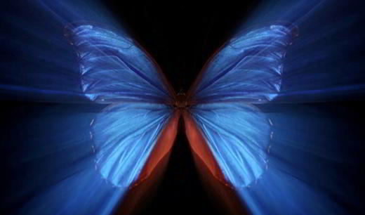 effet-papillon-théorie