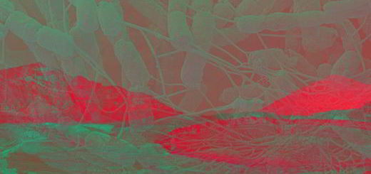 colonisation-Mars-contamination-microbes