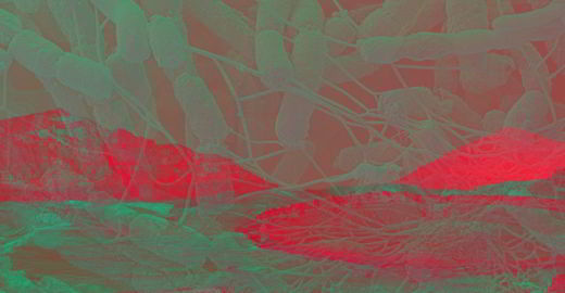 colonisation-Mars-contamination-microbes