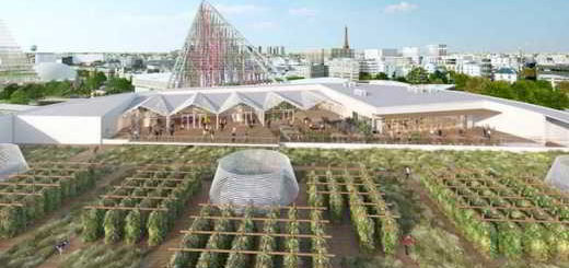 ferme-urbaine-paris-toits