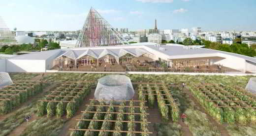 ferme-urbaine-paris-toits