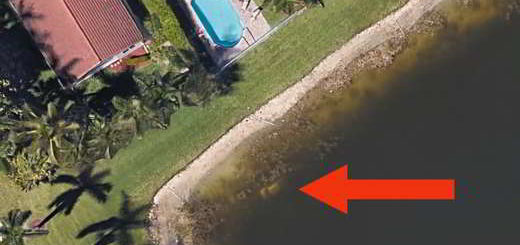 homme-Floride-google-satellite
