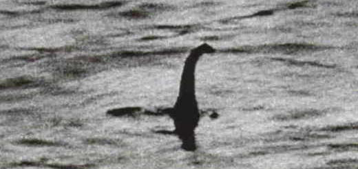 loch-ness-ADN