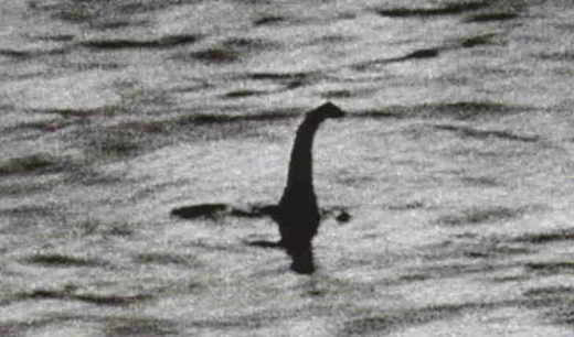 loch-ness-ADN