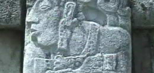 maya-jaguar-blanc-cité