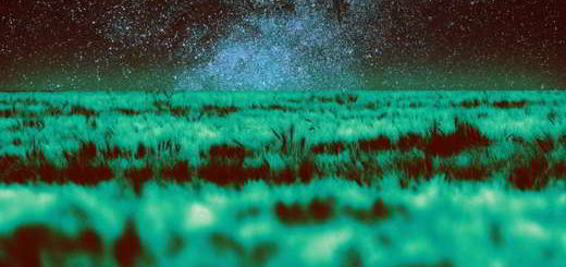 cultiver-sol-martien