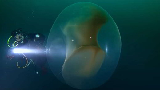 orbe-géant-calmars