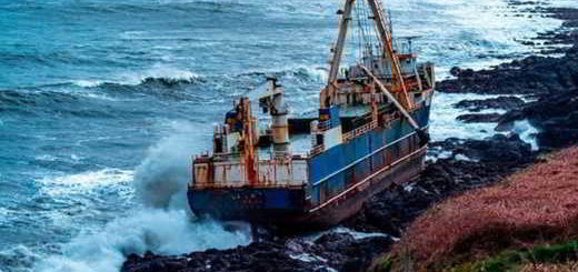 MV-ALTA