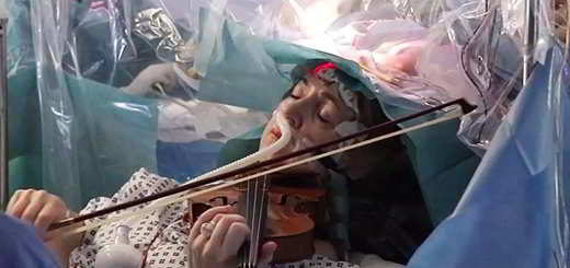 violoniste