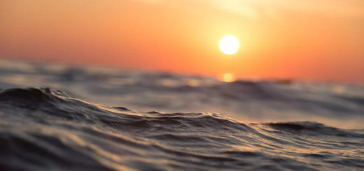 mer