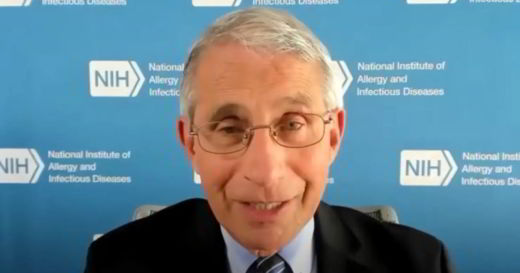 fauci