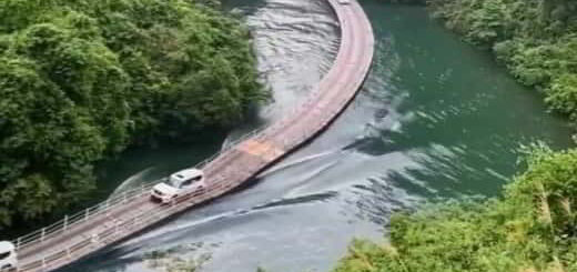 voitures sur pont flottant