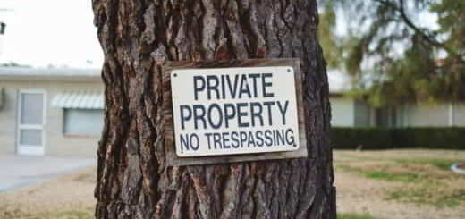 pancarte sur arbre