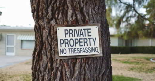 pancarte sur arbre